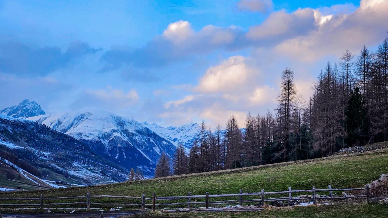 Апартаменты Agriturismo Bosco D'Oro 1 Ливиньо Экстерьер фото